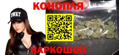 spice Гусев