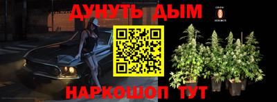 spice Гусев